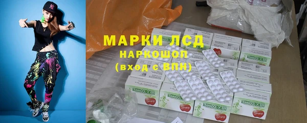 гидра Абаза