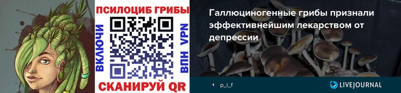 Галлюциногенные грибы MAGIC MUSHROOMS  где купить наркоту  Красавино 